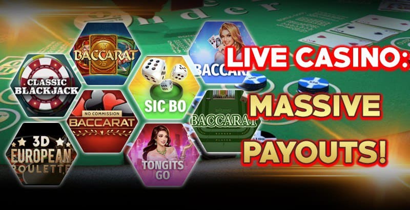 ကျွဲ စလော့ App